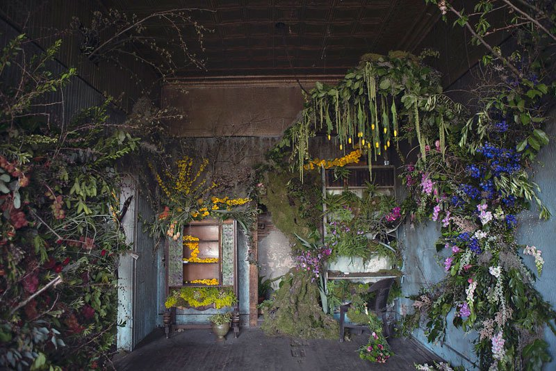 Florists Turn Abandoned House Into Flower Sanctuary 