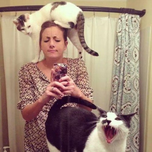 22-things-cat-owners-will-understand10