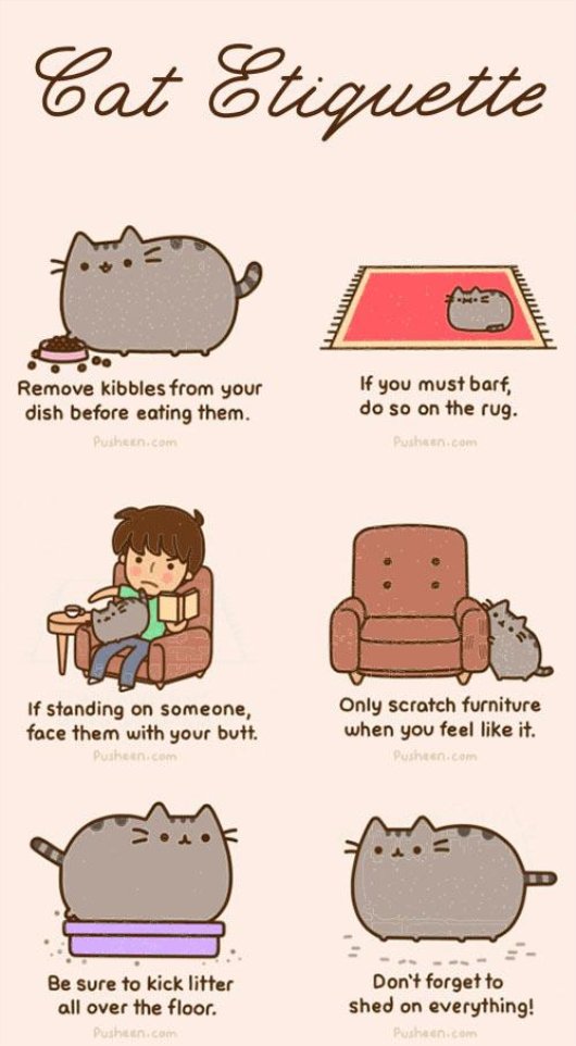 22-things-cat-owners-will-understand18