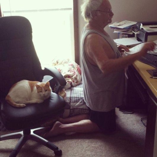 22-things-cat-owners-will-understand20