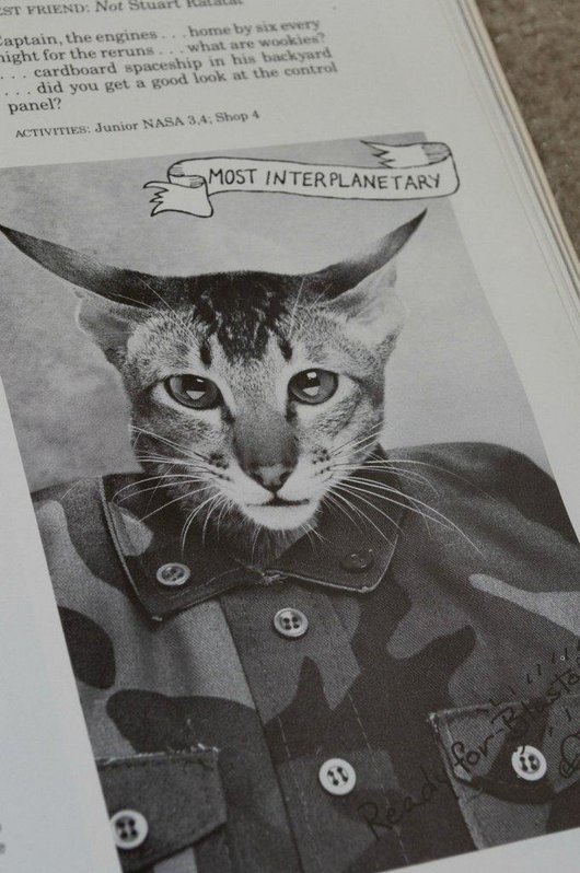 wtf-hilarious-funny-cat-yearbook-cat-photos-yearbook-for-cats13