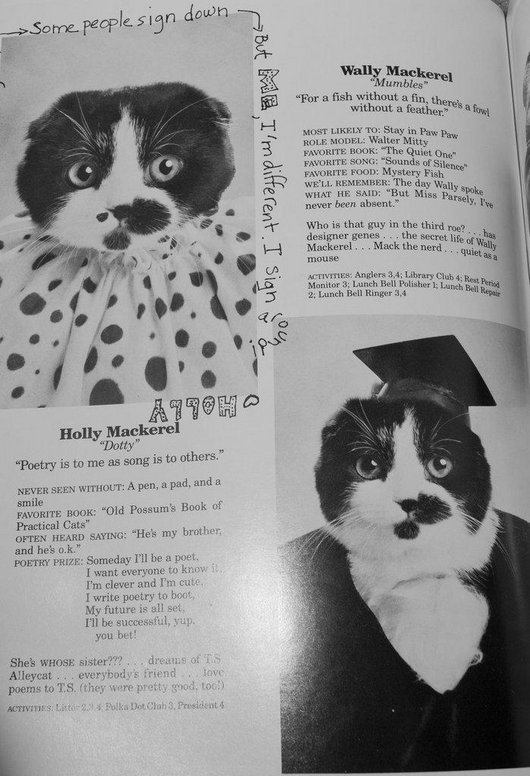 wtf-hilarious-funny-cat-yearbook-cat-photos-yearbook-for-cats14