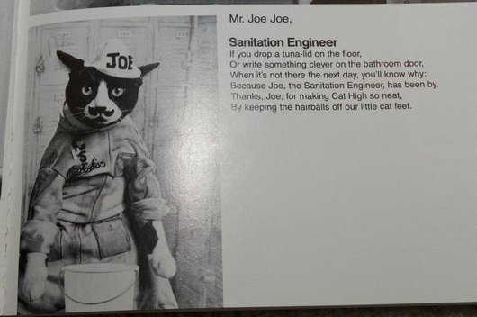 wtf-hilarious-funny-cat-yearbook-cat-photos-yearbook-for-cats23