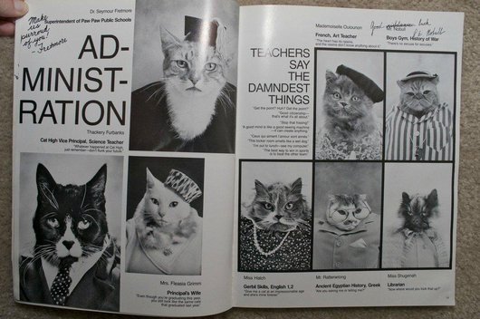 wtf-hilarious-funny-cat-yearbook-cat-photos-yearbook-for-cats3