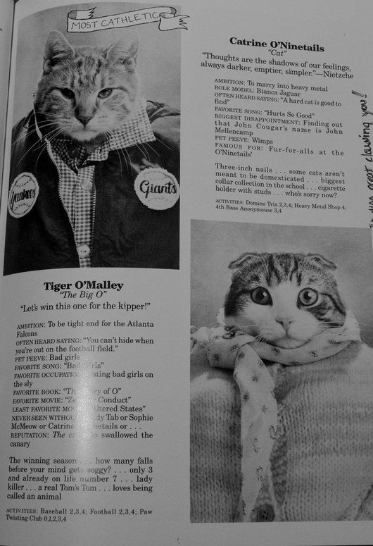 wtf-hilarious-funny-cat-yearbook-cat-photos-yearbook-for-cats7