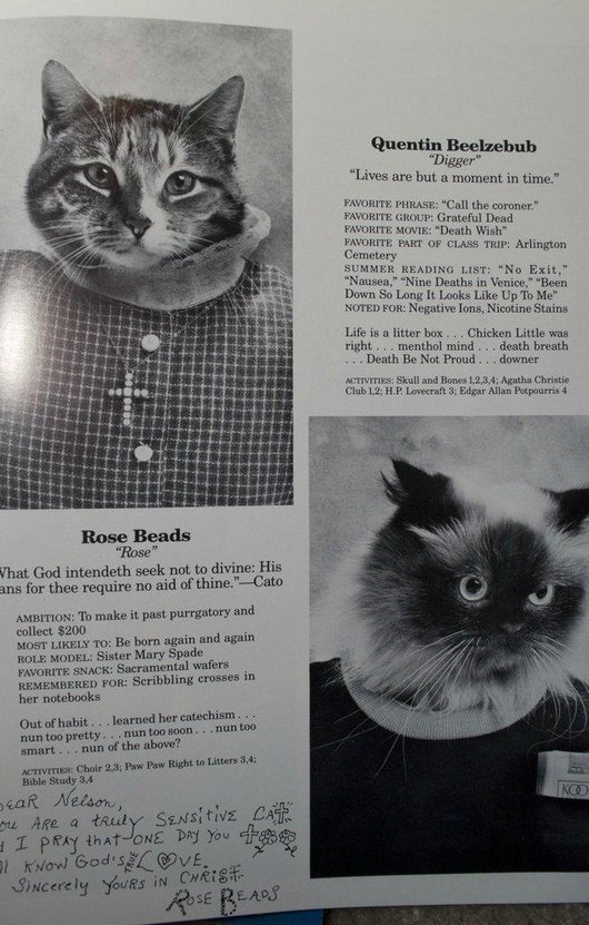 wtf-hilarious-funny-cat-yearbook-cat-photos-yearbook-for-cats8