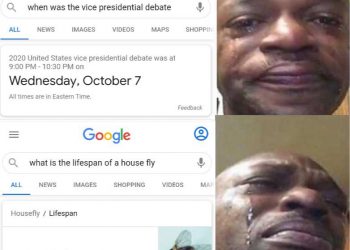 When was the vice presidential debate? – What is the lifespan of a fly?